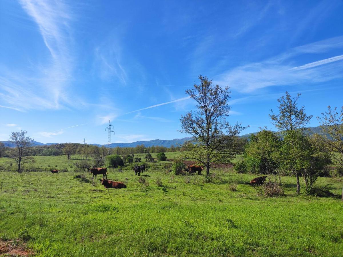 Velebit Lodge Lovinac  Exterior foto
